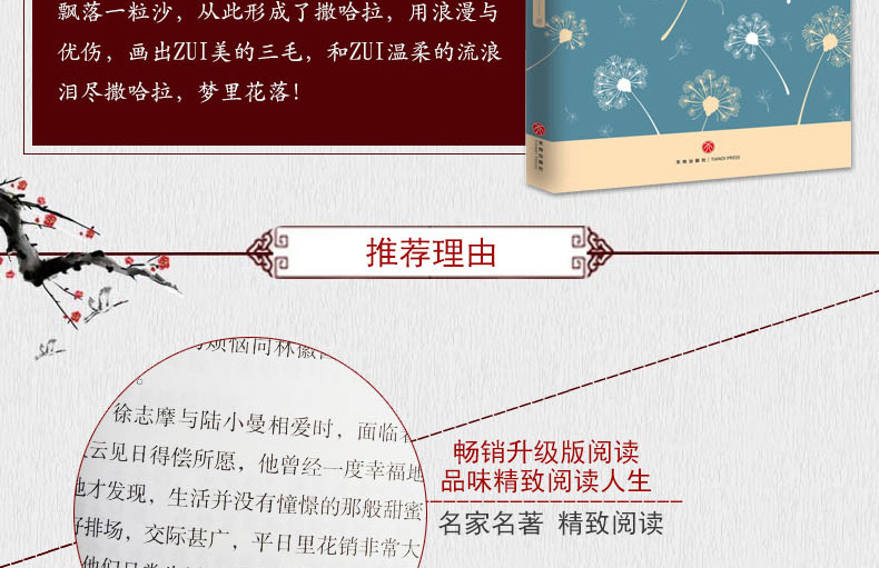 林徽因传+张爱玲传+陆小曼传+三毛传 正版4册 张爱玲作品全集林徽因集民国才女作品 现代文学经典作品