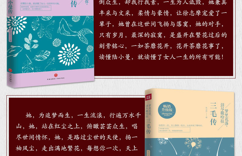 林徽因传+张爱玲传+陆小曼传+三毛传 正版4册 张爱玲作品全集林徽因集民国才女作品 现代文学经典作品