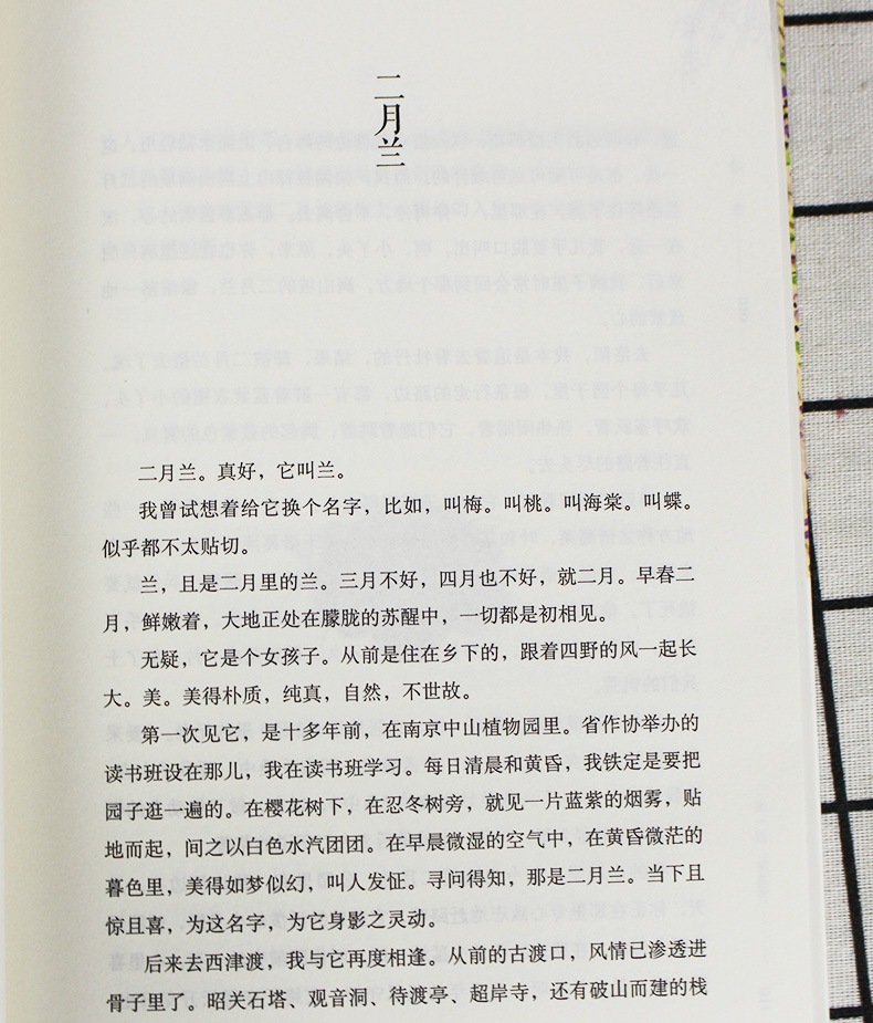 风景这边独好暖人心的散文丁立梅新作品精选集与暗香风会记得一朵花的