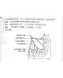 《妇产科手术学》（刘新民 著）--妇产科手术学刘新民 最新版的妇科手术学 产科手术学最新版