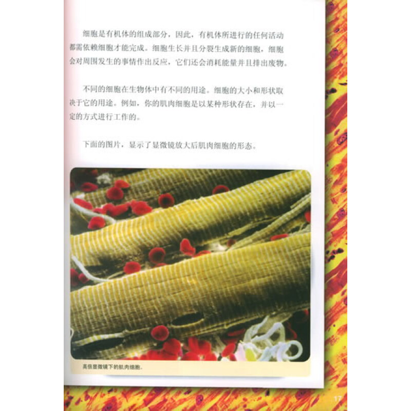 《国家地理阅读与写作训练 细胞在工作（中文版）》([美]Ralph Mitchell)