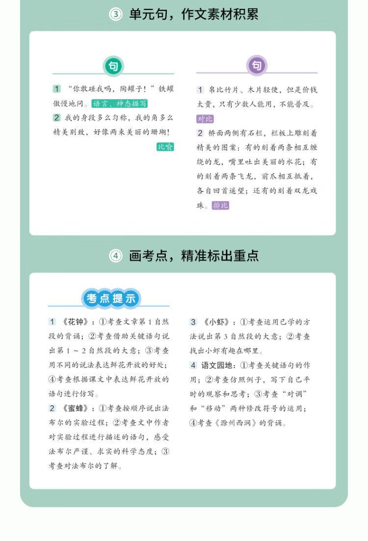 《新版随堂笔记六年级下册语文部编人教版小学生重点知识集锦汇总同步解读小学课本全教材解析》