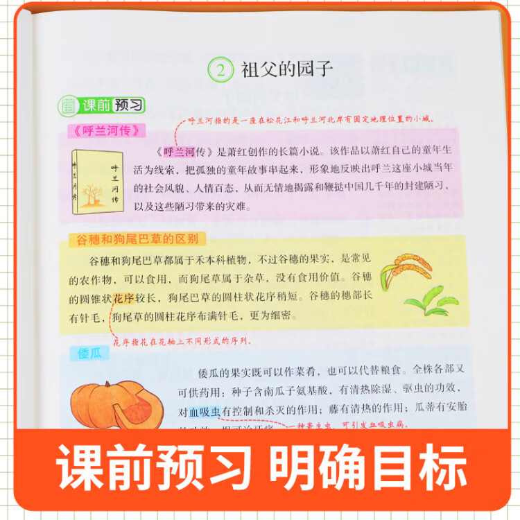 《黄冈学霸笔记五年级下册 小学语文课堂笔记同步人教部编版课本知识大全教材解读解析总复习学习资料书》