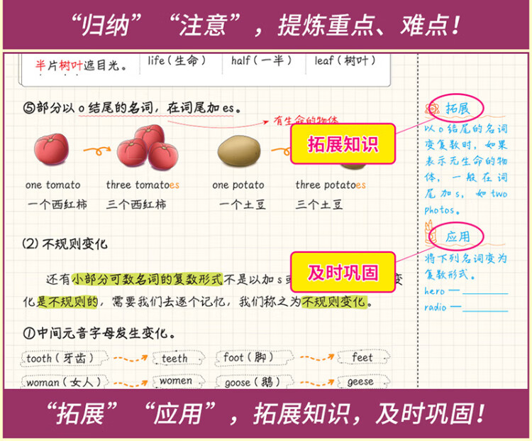 《快捷英语 小学英语语法一学就会+小学英语词汇一学就会2册套装 送练习册 送思维导图 送精美英语作业纸》