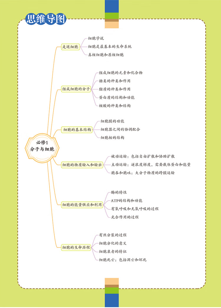 《必考知识全解 高中生物 2023版高一高二高三高中考试必备 各版本通用》