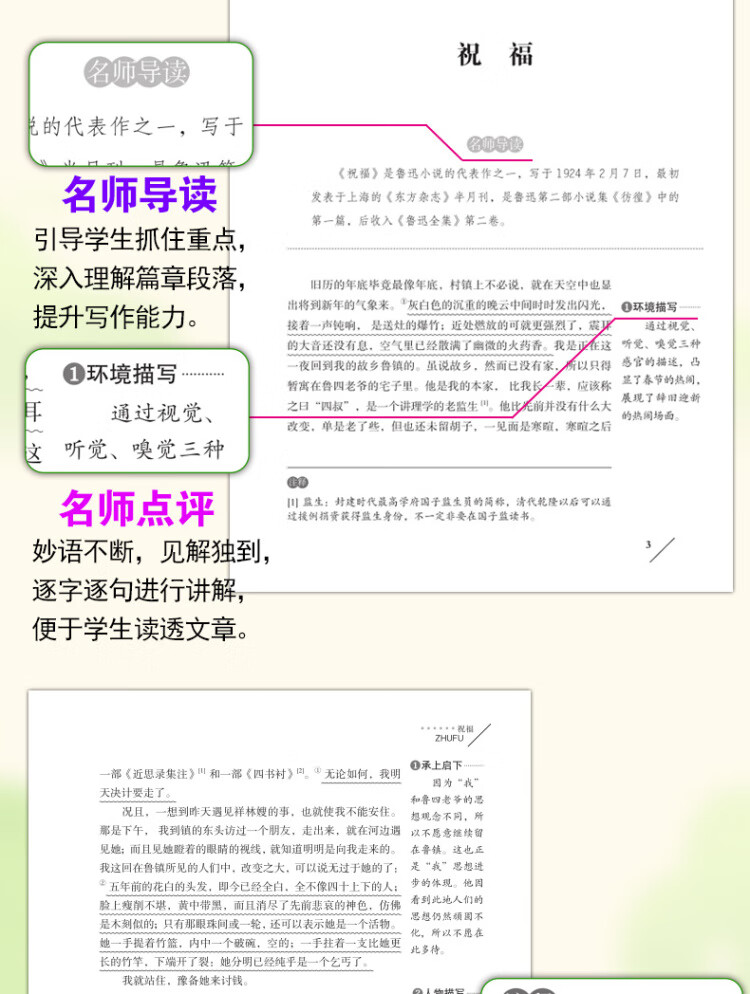 《祝福/快乐读书吧 爱阅读中小学课外阅读丛书青少版（无障碍阅读 彩插本）》