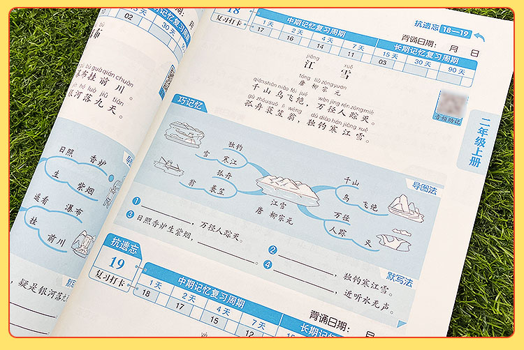 《小学英语必背词汇单词本 艾宾浩斯抗遗忘曲线记忆 背诵打卡计划本》