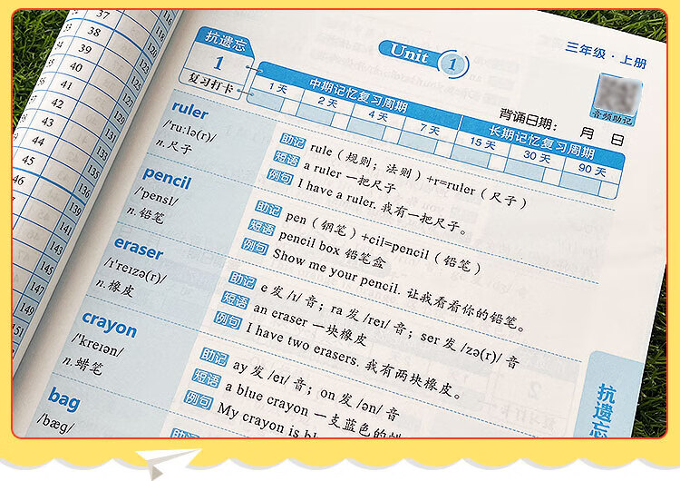 《小学英语必背词汇单词本 艾宾浩斯抗遗忘曲线记忆 背诵打卡计划本》
