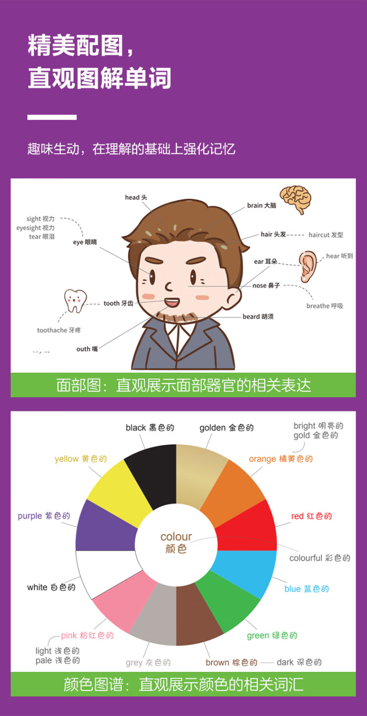 《思维导图. 全彩图解初中英语词汇（赠名师配套视频讲解课）》