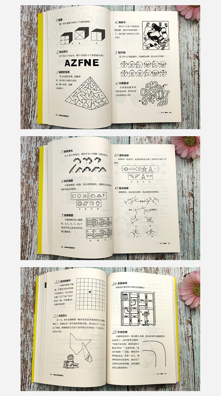 《逻辑思维脑科学训练题》