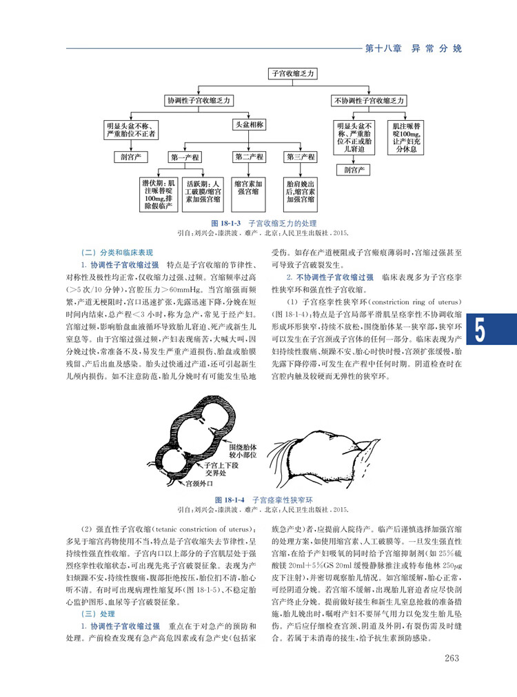 《实用助产学》