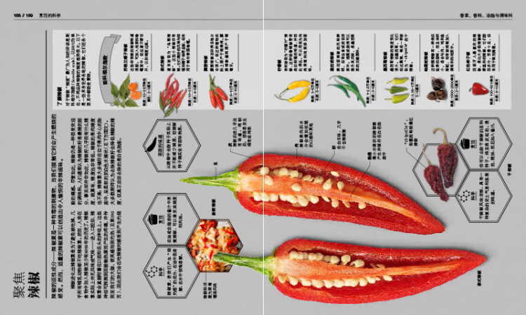 《厨房里的百科全书：DK烹饪的科学+厨房科学超图解（套装2册）》