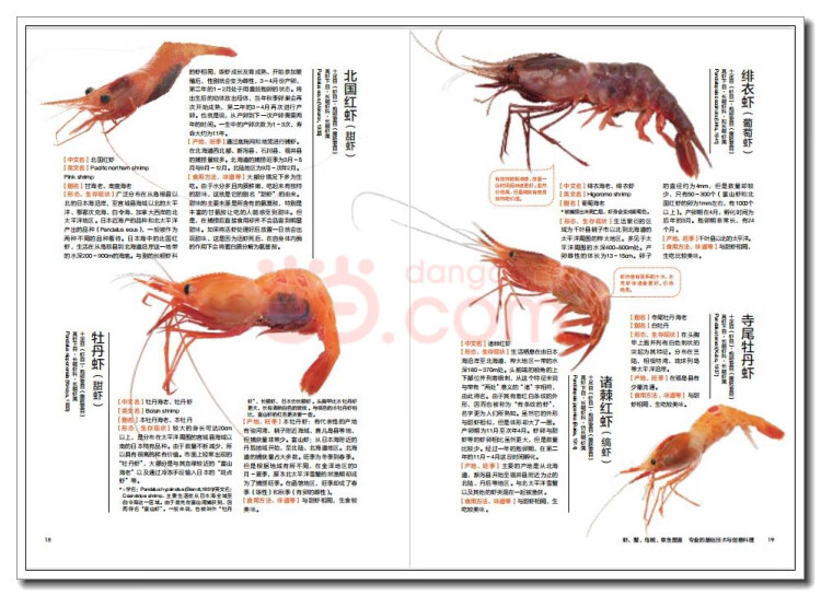 《虾蟹料理图鉴》