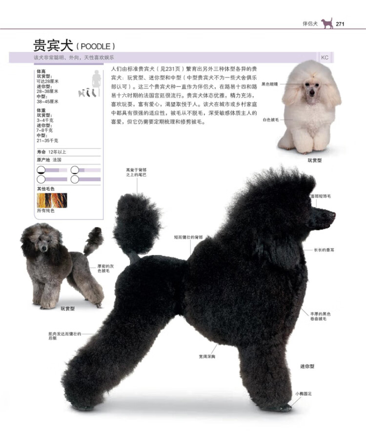 《DK世界名犬驯养百科》