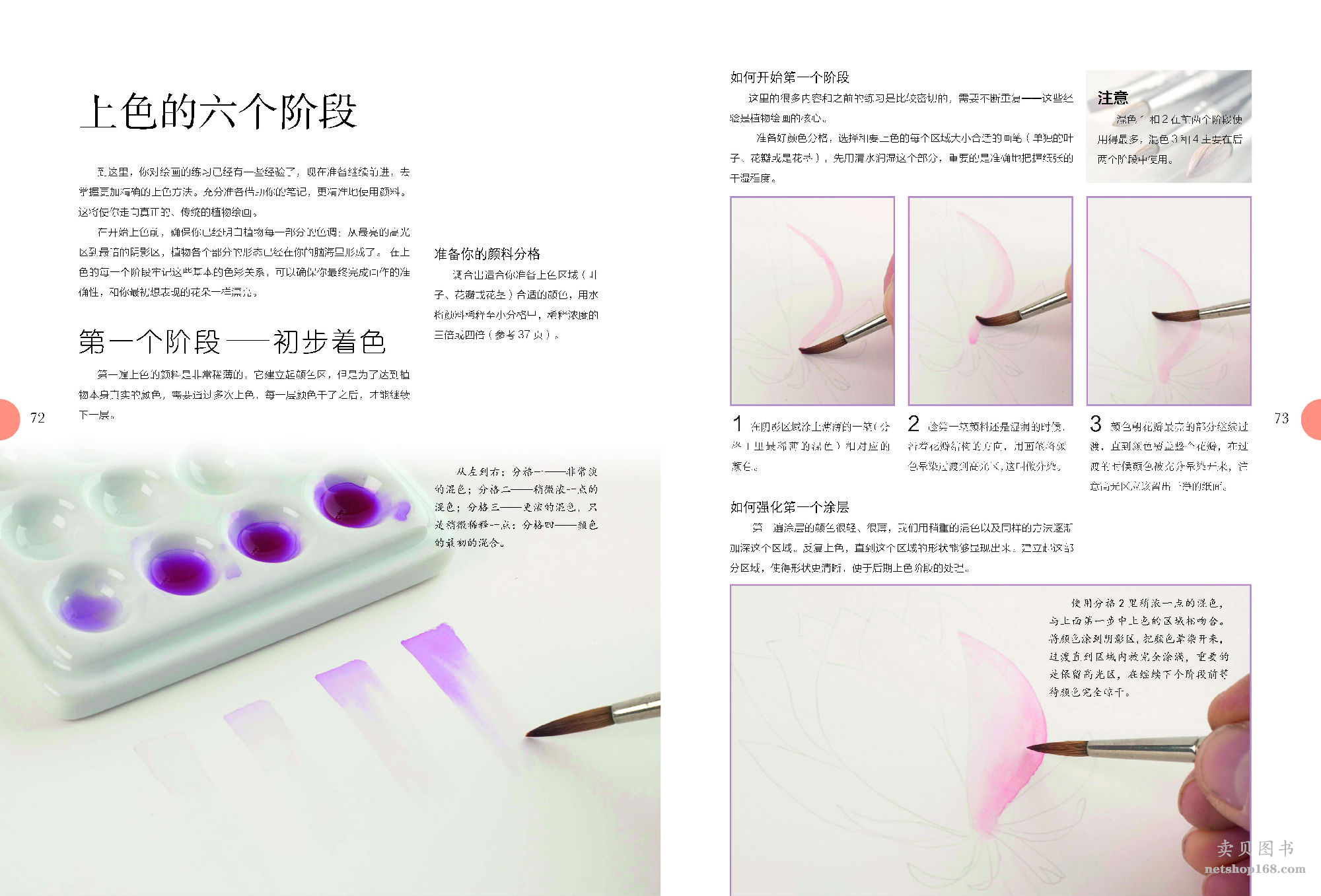 《世界绘画经典教程：水彩花卉完全自学教程（美国植物插画艺术家倾情传授，拥有“一百万年也达不到的水彩技法”）》([美]迈克尔·莱金)