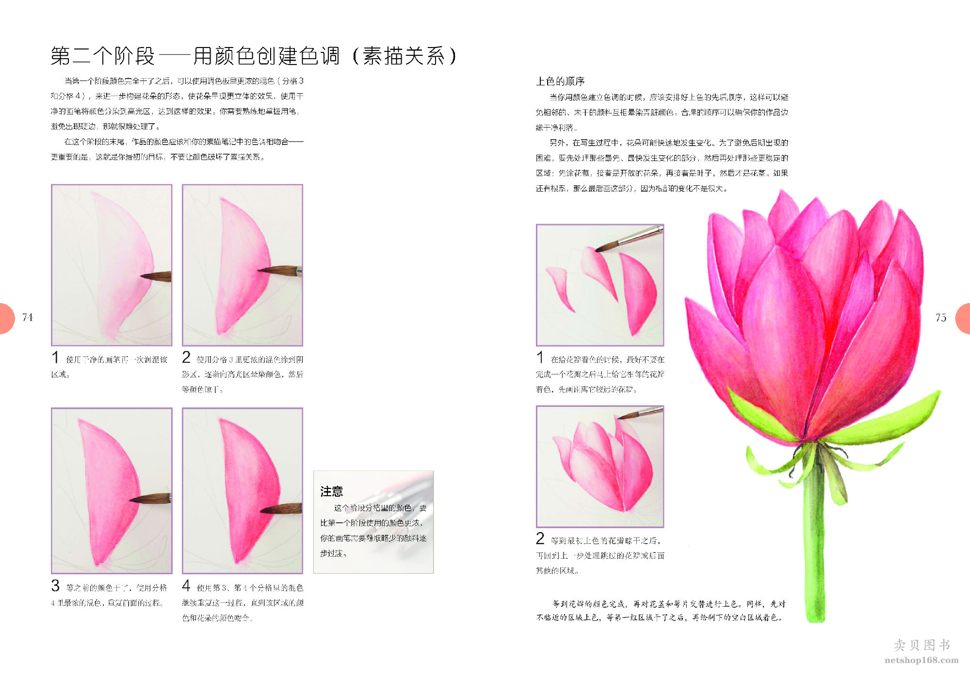 《世界绘画经典教程：水彩花卉完全自学教程（美国植物插画艺术家倾情传授，拥有“一百万年也达不到的水彩技法”）》([美]迈克尔·莱金)