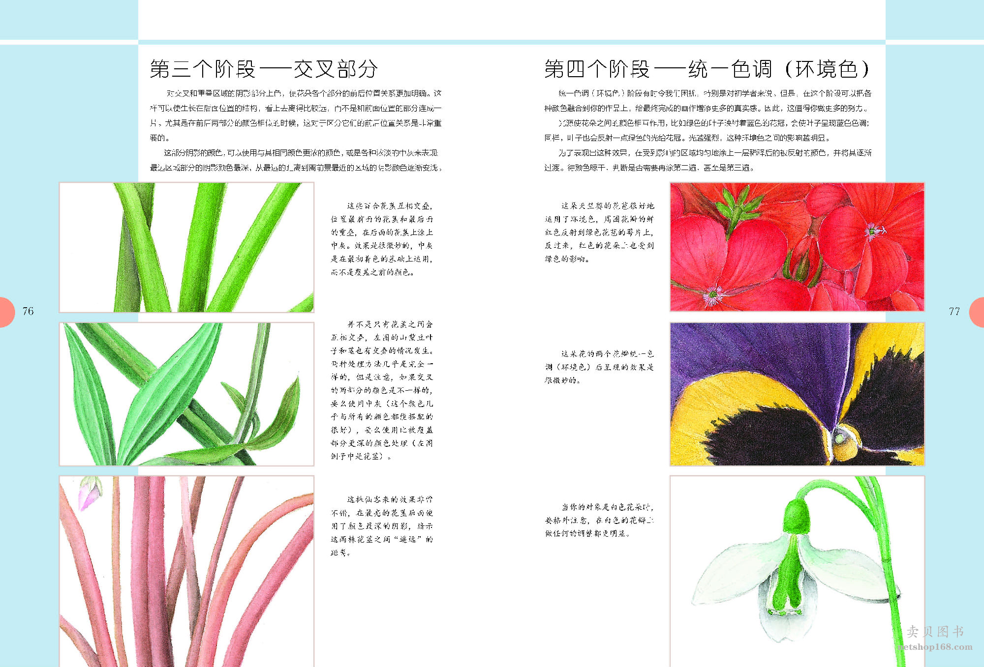 《世界绘画经典教程：水彩花卉完全自学教程（美国植物插画艺术家倾情传授，拥有“一百万年也达不到的水彩技法”）》([美]迈克尔·莱金)