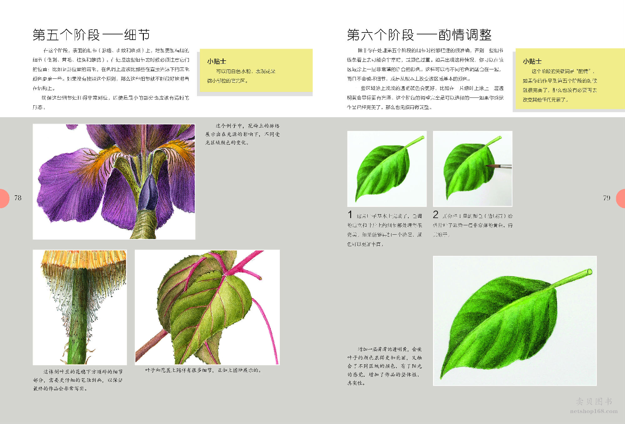 《世界绘画经典教程：水彩花卉完全自学教程（美国植物插画艺术家倾情传授，拥有“一百万年也达不到的水彩技法”）》([美]迈克尔·莱金)