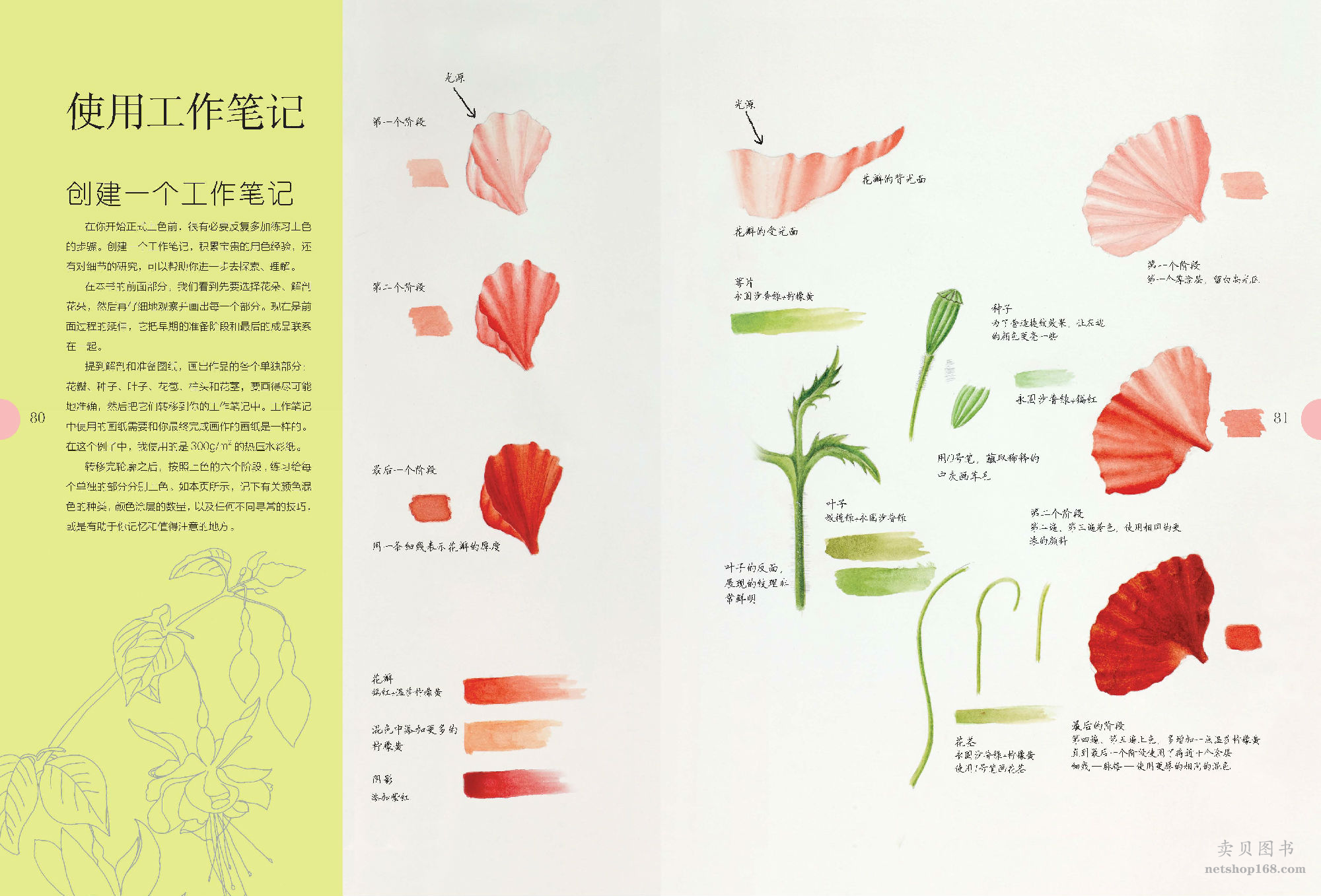 《世界绘画经典教程：水彩花卉完全自学教程（美国植物插画艺术家倾情传授，拥有“一百万年也达不到的水彩技法”）》([美]迈克尔·莱金)