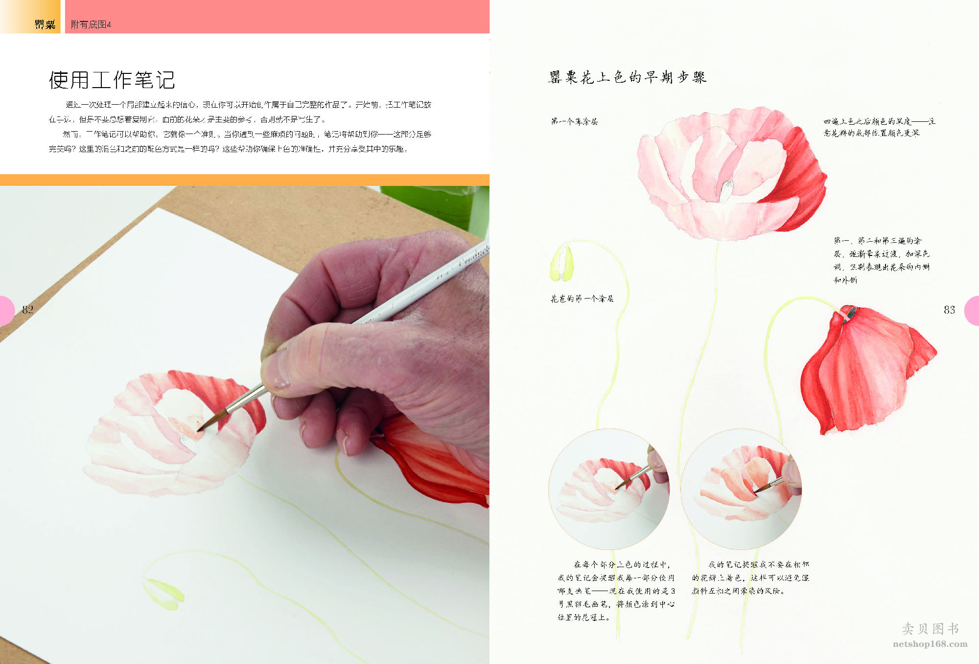 《世界绘画经典教程：水彩花卉完全自学教程（美国植物插画艺术家倾情传授，拥有“一百万年也达不到的水彩技法”）》([美]迈克尔·莱金)