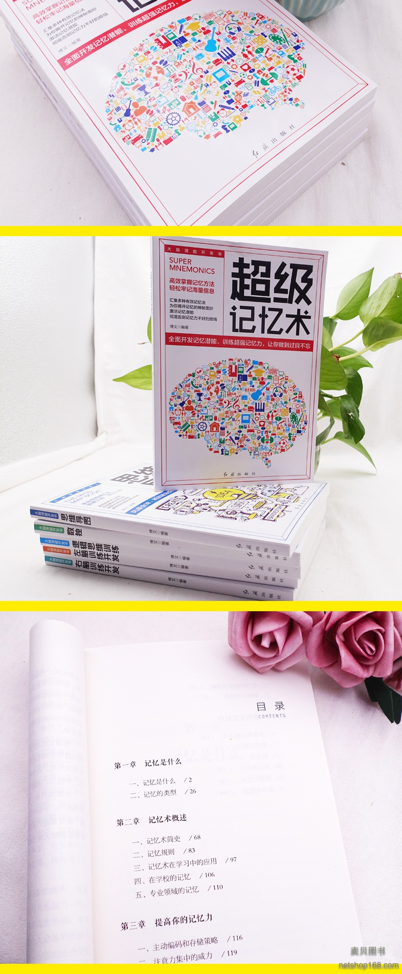 《大脑潜能开发书全6册 左右脑全脑开发最强大脑使用书教程记忆力训练超级记忆术发掘个人潜能培养书籍》