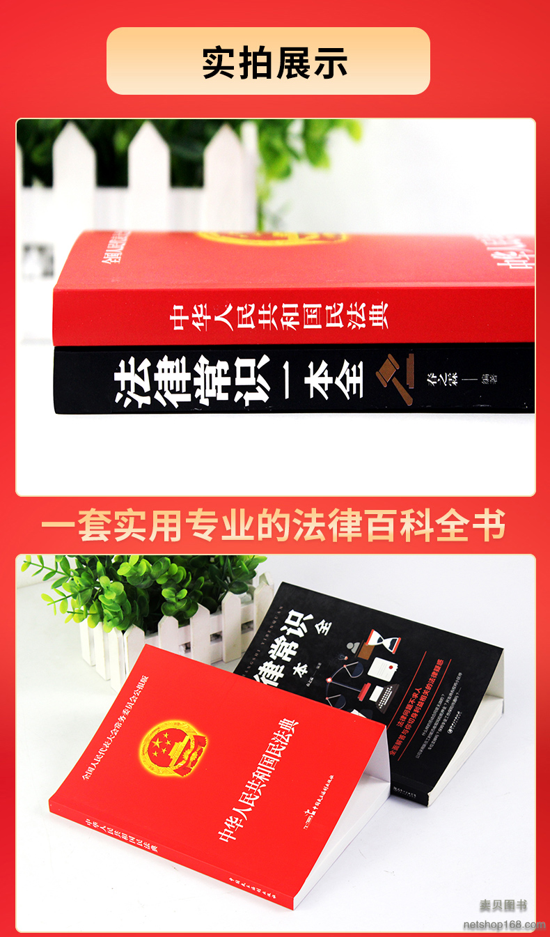 《全2册中华人民共和国民法典+法律常识一本全法律条文司法解释法律书籍》