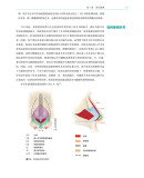 《鼻整形外科手术图谱》（[美] 罗林·K.丹尼尔 著）辽宁科学技术出版社